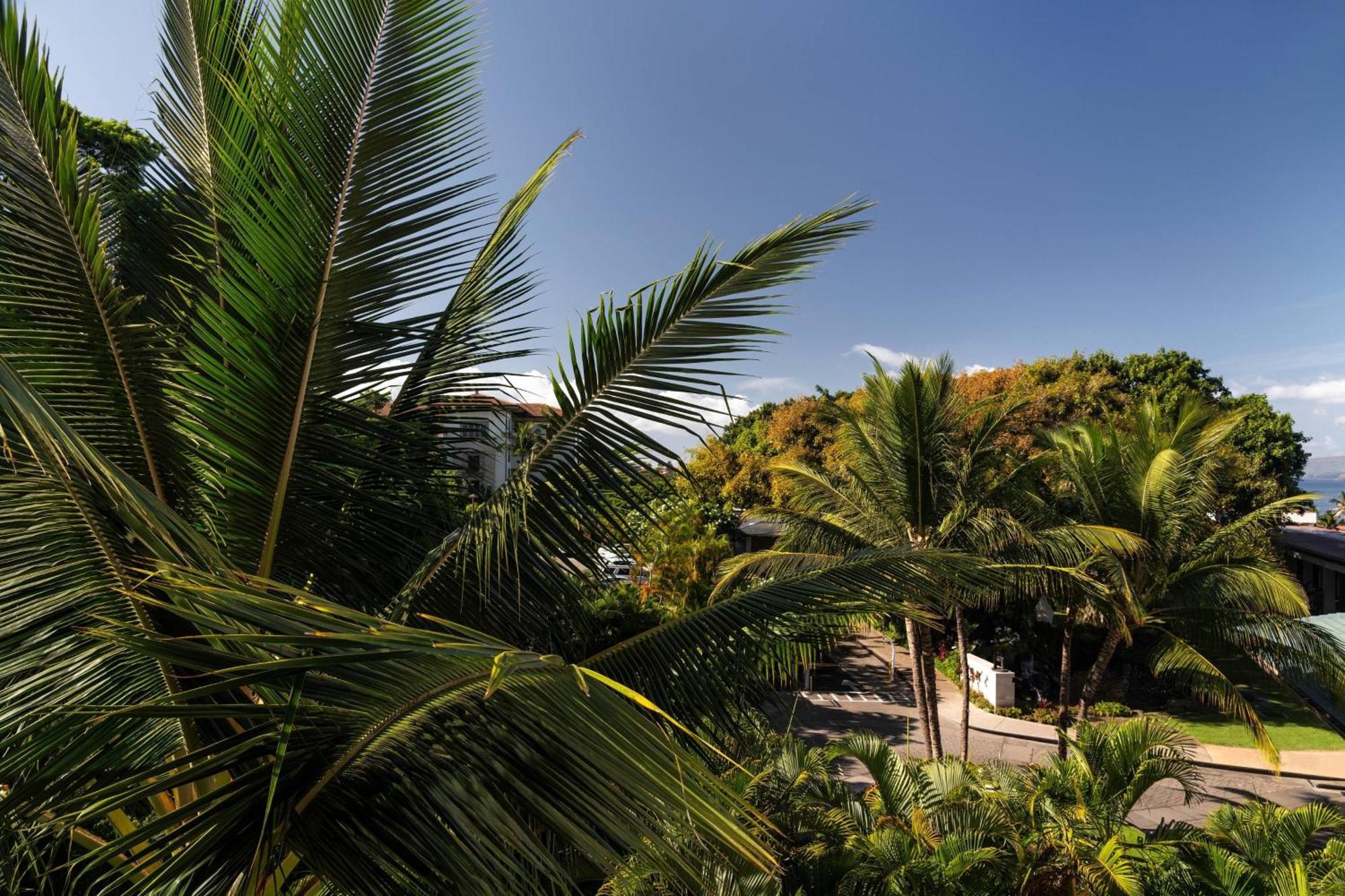 Wailea Beach Resort - Marriott, Maui Екстер'єр фото